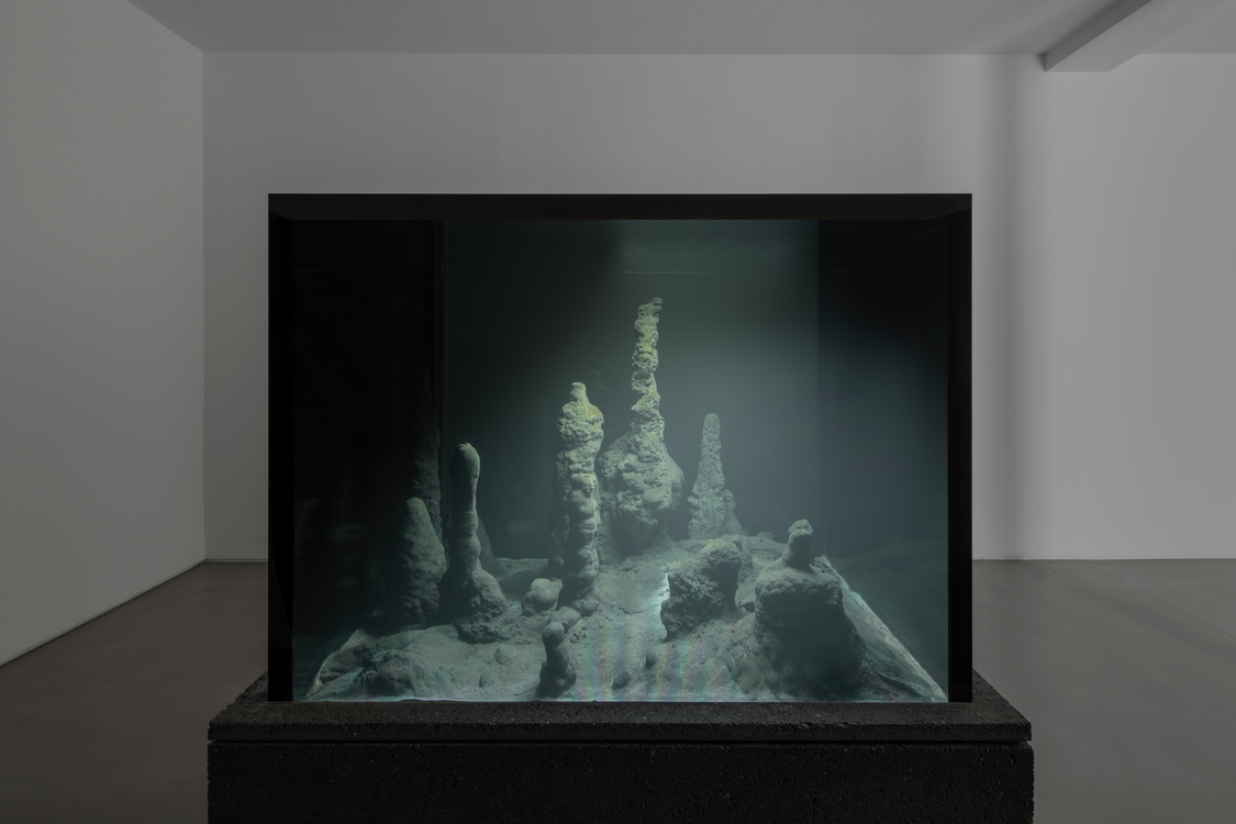 Pierre Huyghe, Circadian Dilemna, 2017 - Courtoisie de l'artiste et Galerie Chantal Crousel, Paris. Photo: Martin Argyroglo