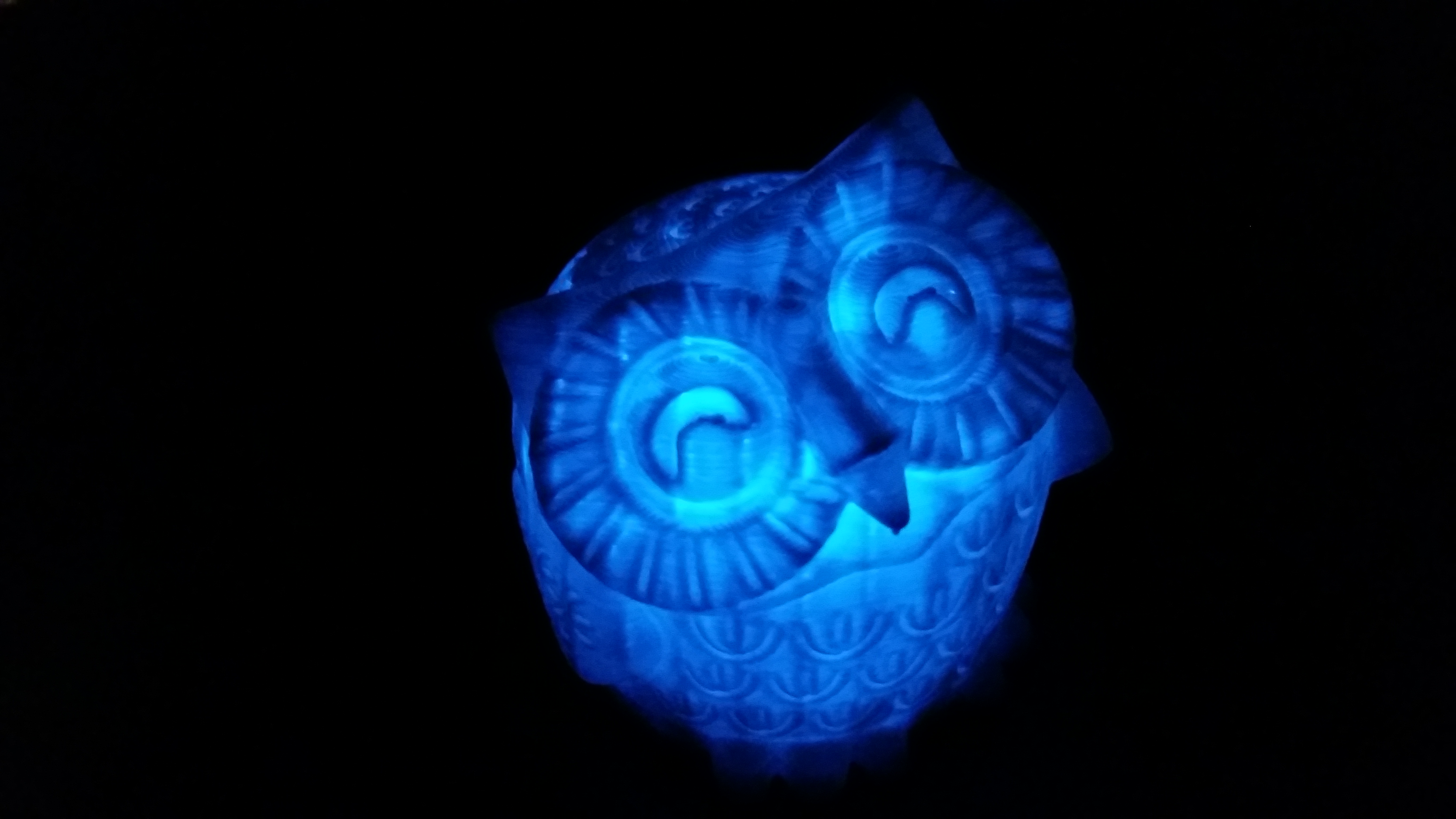 The blue owlantern in the dark