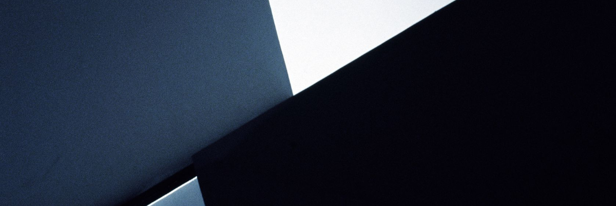 Olivier Dassault, Focus, 2013 (détail).