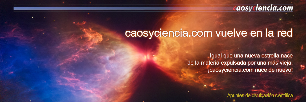 The protostar within the dark cloud L1527. Credits: NASA, ESA, CSA, and STScI. Image processing: J. DePasquale, A. Pagan, and A. Koekemoer (STScI)