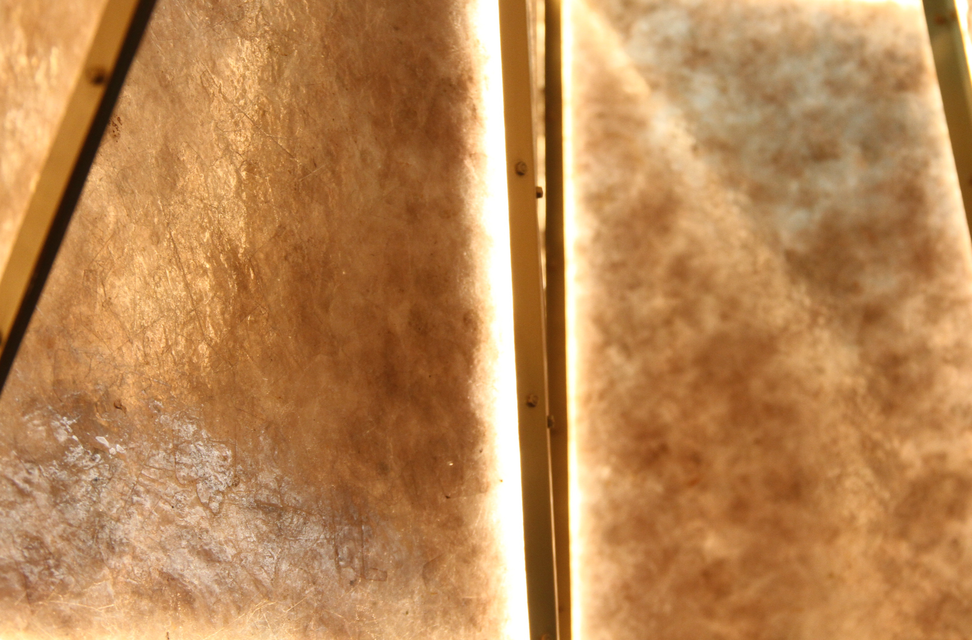 Giacomo Ravagli, Igloo, 2026, detail