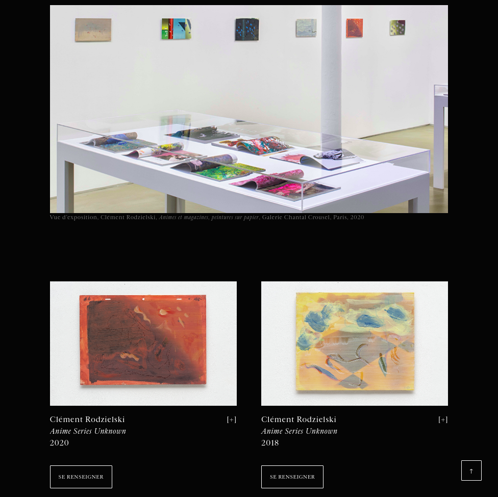 Viewing  Clément Rodzielski, Galerie Chantal Crousel