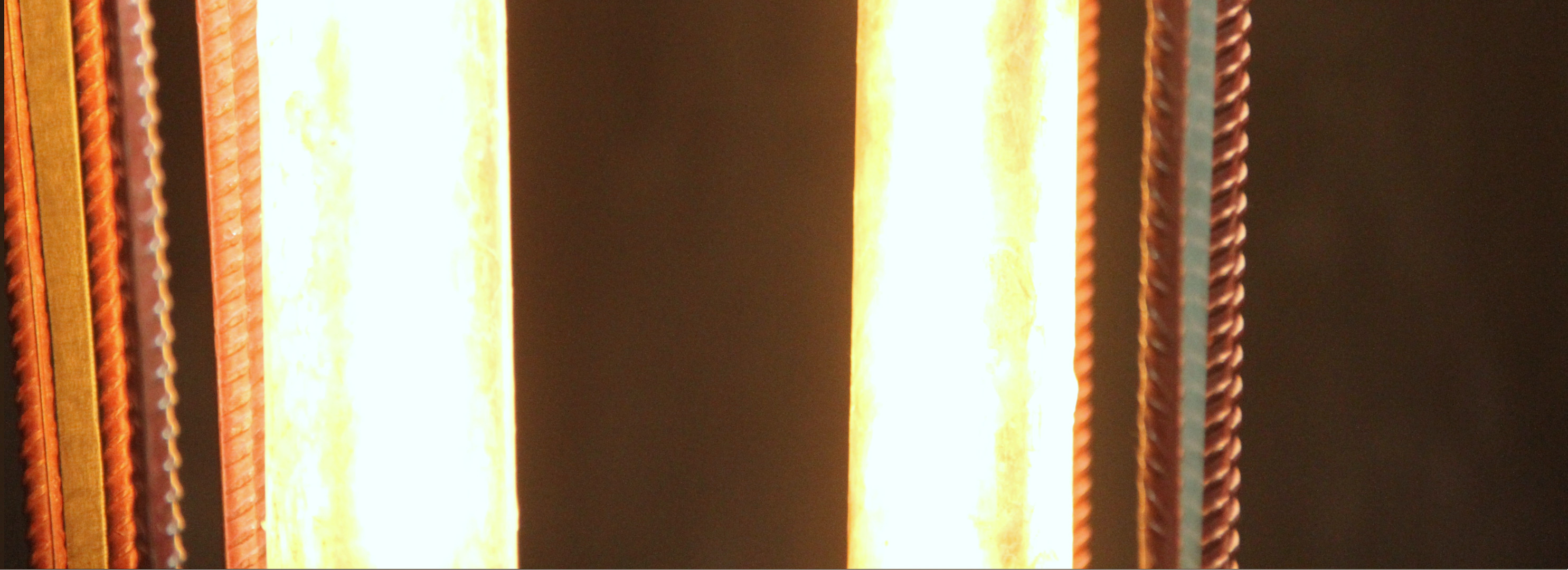 Giacomo Ravagli, Vulgata, 2025, détail